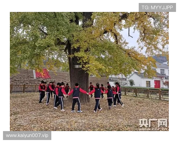 宿松以羽为媒千年古县激发文旅融合新动能全面呈现多元精彩新风貌